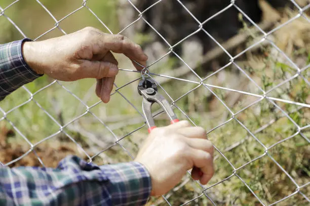 Chain Link Fence Repair